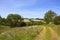 Wildflowers and hedgerows in a patchwork English landscape in summertime