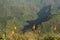 Wildflowers, Hiking in the Simien Mountains, Ethiopia