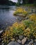 Wildflowers line the banks of a tranquil river the calm water flowing over the rocks and pebbles of centuries past
