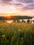 Wildflowers in a meadow over the lake at sunset