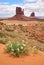 Wildflowers and mitten formation in Monument Valley