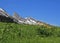 Wildflowers and peak of the Churfirsten Range