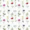 Wildflowers seamless pattern. Watercolor hand drawn Red poppy, blue cornflower, pink cosmos, daisy, green fern, mouse peas