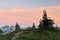 Wildflowers and tatoosh mountain range at sunset