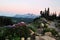 Wildflowers and tatoosh mountain range at sunset