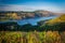 Wildflowers and view at Tom McCall Nature Preserve, Columbia Riv