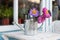 Wildflowers in watering cans on white table in garden. Gardening tools, houseplants and flowers on terrace. Concept of gardening a