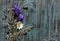 Wildflowers on wooden background.