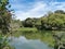 Wildfowl Trust Pond, Trinidad