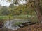 Wildfowl Trust Pond, Trinidad