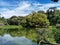 Wildfowl Trust Pond, Trinidad and Tobago