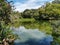 Wildfowl Trust Pond, Trinidad and Tobago