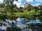 Wildfowl Trust Pond, Trinidad and Tobago