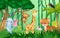 Wildlife animals in jungle scene . Kids style . Vector