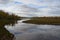 Wildlife of the Arctic. Autumn landscape