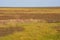 Wildlife of the Arctic. Autumn landscape