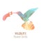 Wildlife banner - bird colibri