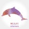 Wildlife banner - cetaceans dolphin