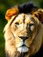 Wildlife Beast Lion Male Lion Head Sculpture