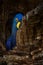 Wildlife Brazil, blue parrot nest. Big blue parrot Hyacinth Macaw, Anodorhynchus hyacinthinus, in tree nest cavity in Pantanal,