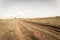 Wildlife Buck Herd Dirt Road Grasslands Sepia Tone Vintage