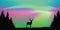 Wildlife deer on aurora borealis polar lights background