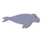 Wildlife dugong icon cartoon vector. Ocean sea