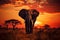 Wildlife dusk Elephant silhouette framed by the colors of African sunset