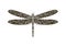 Wildlife, flying dragonfly, pattern