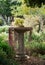 Wildlife friendly lush garden with bird bath full of plants