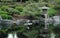Wildlife and japenese garden