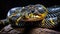 Wildlife Landscape of Boiga Snake Dendrophila Yellow Ringed Head of Boiga Dendrophila Sharp Fangs Terrific AI Generative