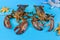 Wildlife lobsters with starfish on blue background