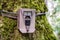 Wildlife monitoring device strapped on the base of a tree trunk, Santa Cruz mountains, San Francisco bay area, California