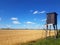 wildlife observation point at golden wheat field