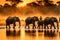 wildlife photograph of a group of elephants drinking water from lake in dark forest