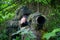 Wildlife photographer in the summer ghillie camouflage suit