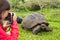 Wildlife photographer and tourist on Galapagos Islands by Giant Tortoise