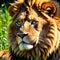 wildlife photography of a lion close up generative ai