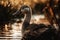 Wildlife Photography Serene Golden Hour Goose at the Lake