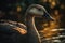 Wildlife Photography Serene Golden Hour Goose at the Lake