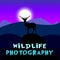 Wildlife Photography Shows Animal Photos 3d Illustration