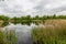 Wildlife pond,natural landscape