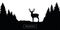 Wildlife reindeer silhouette forest landscape black and white