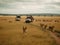 A wildlife safari with a group of wild animals in their natural habitat created with Generative AI