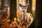 Wildlife scene European fallow deer in the enchanting autumn forest