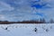 Wildlife scene from snowy nature. Dancing pair of Red-crowned crane with open wing in flight, with sunny day, Hokkaido, Japan. Bir