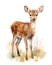 Wildlife sika deer, watercolor