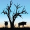 Wildlife sunset silhouette with wildebeest