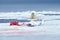 Wildlife Svalbard, Norway. Bears with carcass fur coat skin, wildlife nature. Carcass blue sky and clouds. Nature - polar bear on